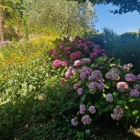 Domaine Des Franchises - Beaujolais Village - Charme Et Authenticite Au Coeur Des Pierres Dorees Bed & Breakfast Denice