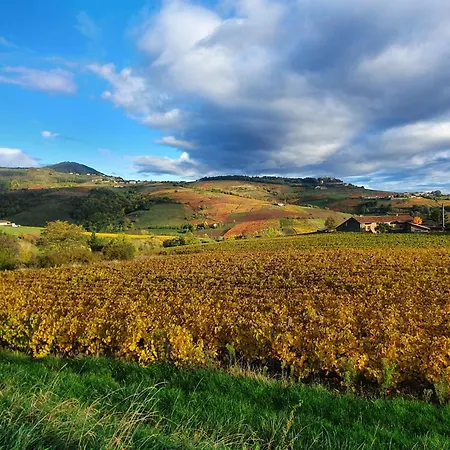Domaine Des Franchises - Beaujolais Village - Charme Et Authenticite Au Coeur Des Pierres Dorees Bed & Breakfast *
