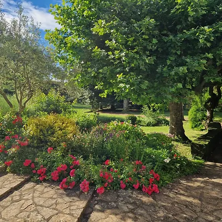 Domaine Des Franchises - Beaujolais Village - Charme Et Authenticite Au Coeur Des Pierres Dorees *