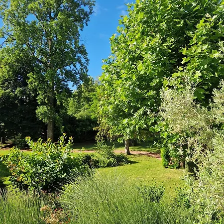 Bed & Breakfast Domaine Des Franchises - Beaujolais Village - Charme Et Authenticite Au Coeur Des Pierres Dorees *
