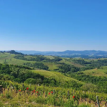 Domaine Des Franchises - Beaujolais Village - Charme Et Authenticite Au Coeur Des Pierres Dorees